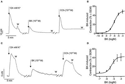 Signaling Pathways Mediating Bradykinin-Induced Contraction in Murine and Human Detrusor Muscle